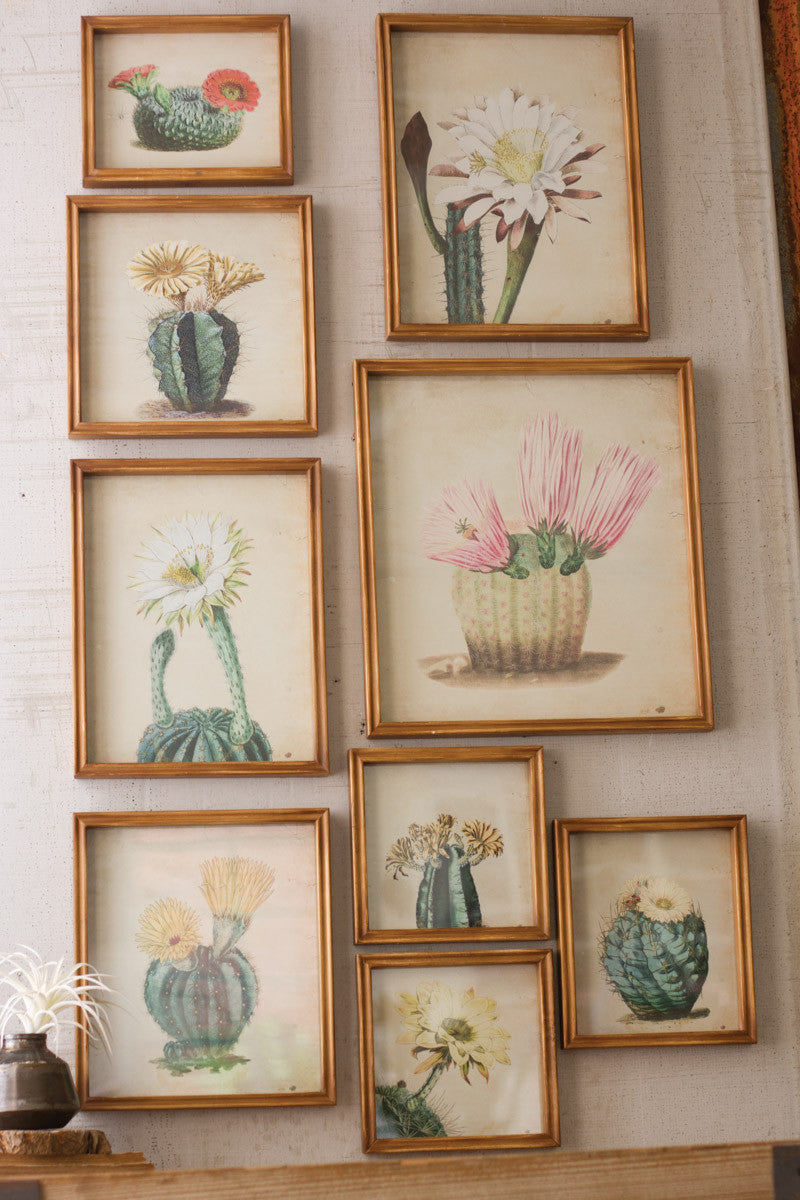 Cactus Prints Under Glass- set of 9